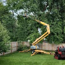 Best Tree and Shrub Care  in Apple Mountain Lake, VA