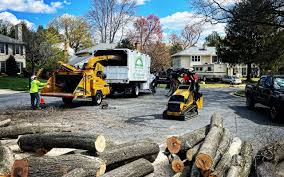 Best Lawn Maintenance Plans  in Apple Mountain Lake, VA
